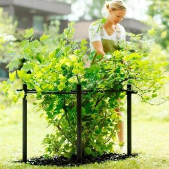 Новые поступления