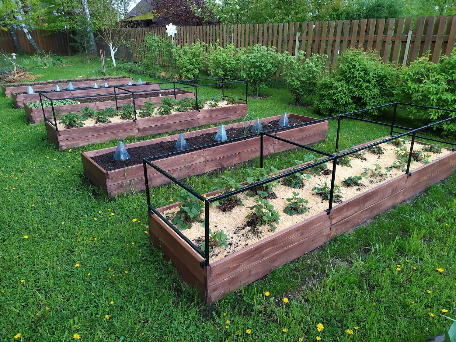 Летний рай от ЭкоДеко и Бриттон // Деревянные грядки из лиственницы и стеклянные теплицы ! 29 ЭкоДеко Премиум Гарден