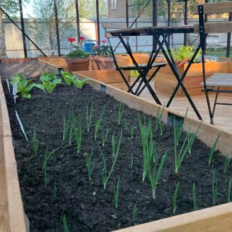 Грядки в теплицу и паркет / Раменский район // Июнь 2023 (обновление - май 2024)