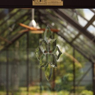 Грядки в теплицу и паркет / Раменский район // Июнь 2023 (обновление — июнь 2024)