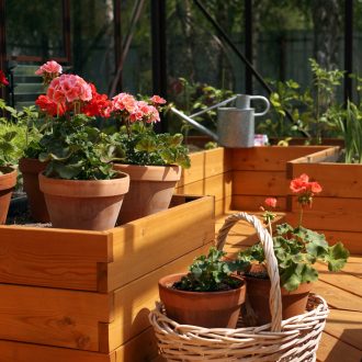 Грядки в теплицу и паркет / Раменский район // Июнь 2023 (обновление — июнь 2024)