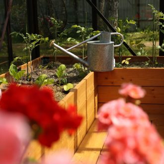 Грядки в теплицу и паркет / Раменский район // Июнь 2023 (обновление — июнь 2024)