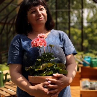 Грядки в теплицу и паркет / Раменский район // Июнь 2023 (обновление — июнь 2024)