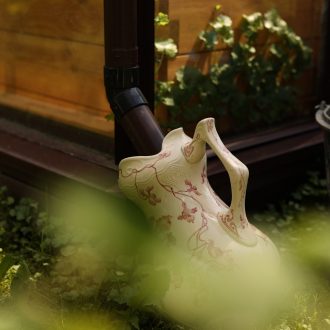 Грядки в теплицу и паркет / Раменский район // Июнь 2023 (обновление — июнь 2024)