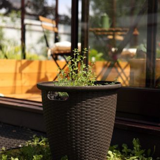 Грядки в теплицу и паркет / Раменский район // Июнь 2023 (обновление — июнь 2024)