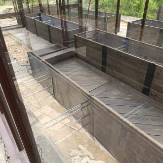 Большущий огород, теплица и паркет / КП Успенские дачи // Июнь 2024