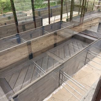 Большущий огород, теплица и паркет / КП Успенские дачи // Июнь 2024