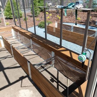 Компактная теплица и грядка / КП Новое Семкино — Рязанская область // Май 2024