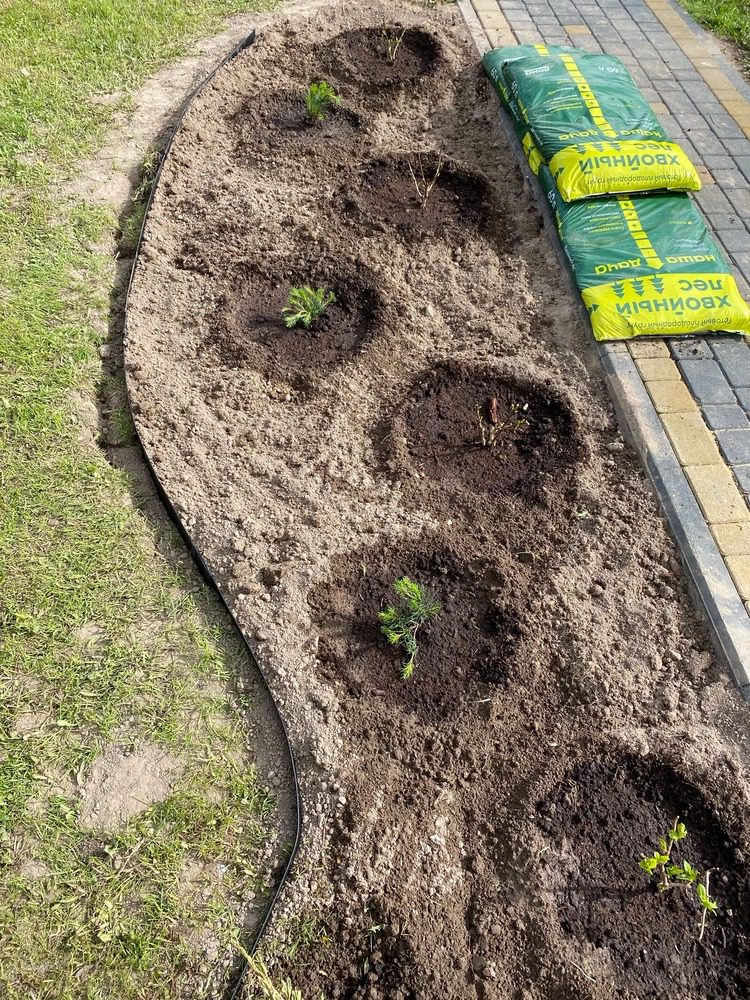 Металлический садовый бордюр Классик // Отзывы и фото покупателей ! 24 Металлический садовый бордюр Классик // Отзывы и фото покупателей !