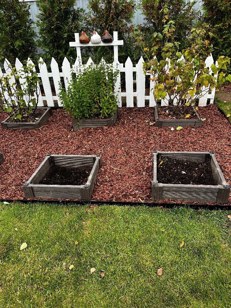 Металлический садовый бордюр Классик // Отзывы и фото покупателей ! 26 Металлический садовый бордюр Классик // Отзывы и фото покупателей !