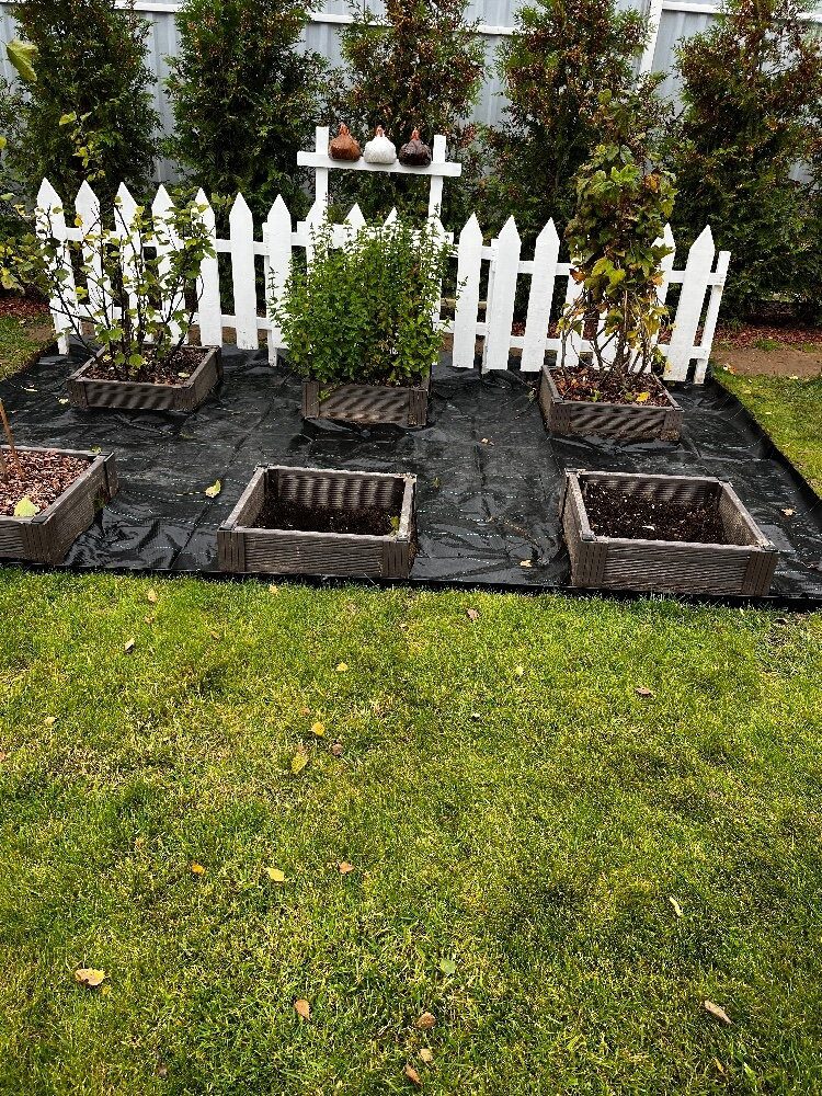 Металлический садовый бордюр Классик // Отзывы и фото покупателей ! 27 Металлический садовый бордюр Классик // Отзывы и фото покупателей !