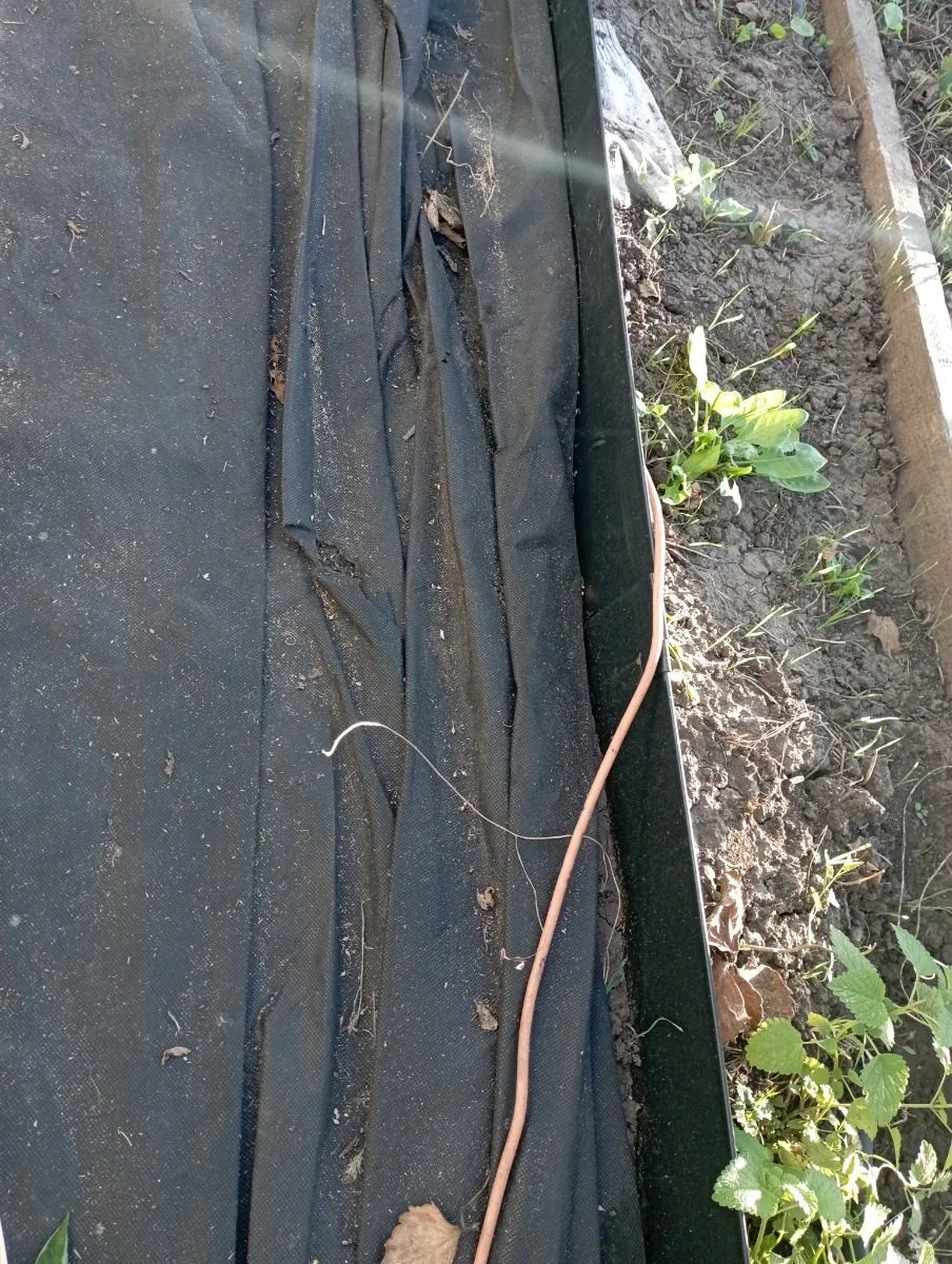 Металлический садовый бордюр Классик // Отзывы и фото покупателей ! 34 Металлический садовый бордюр Классик // Отзывы и фото покупателей !