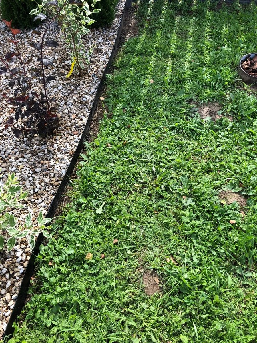 Металлический садовый бордюр Классик // Отзывы и фото покупателей !