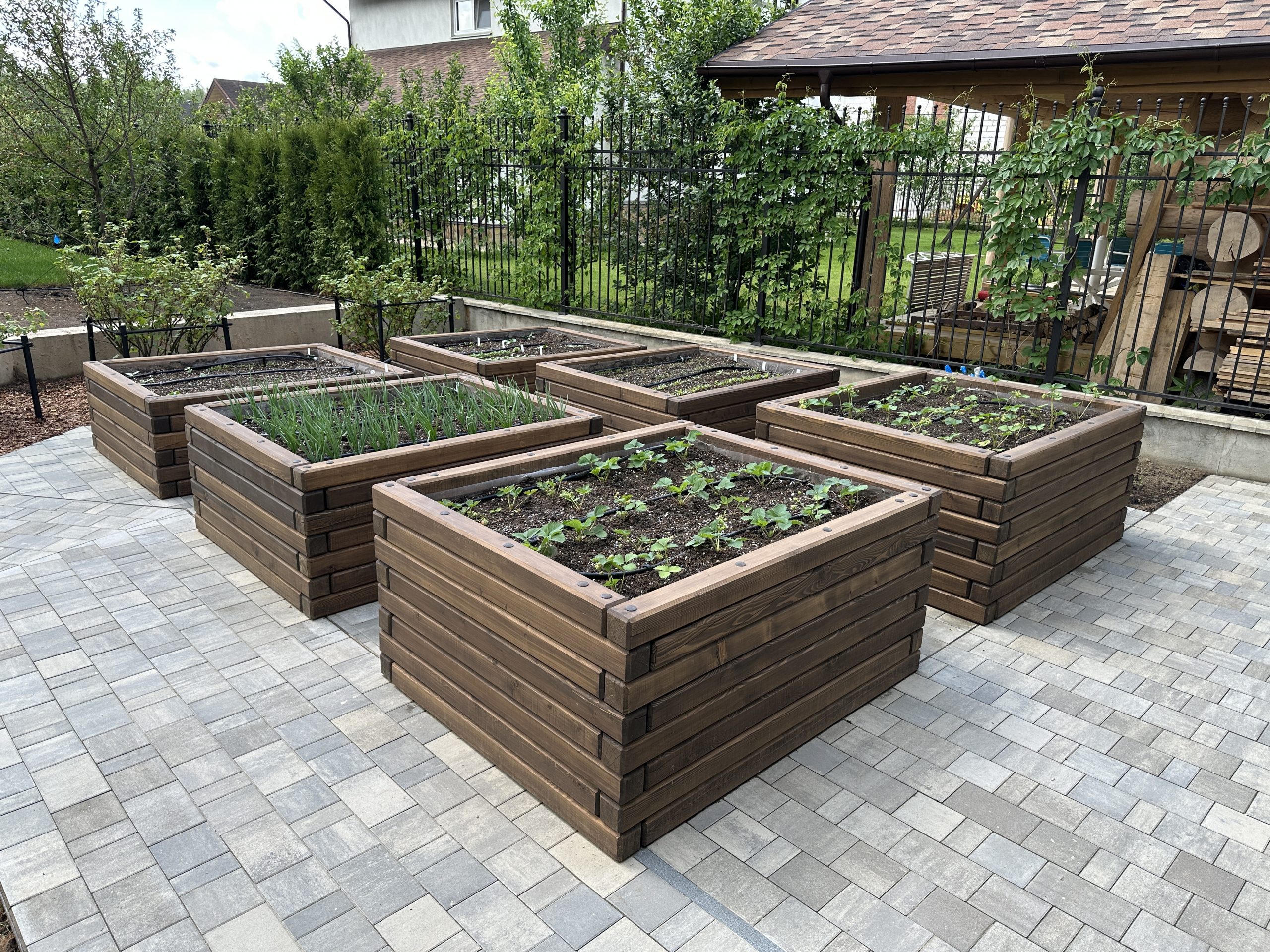 Грядки из бруса лиственницы / Чеховский район // Июнь 2025