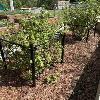 Грядки из бруса лиственницы / Чеховский район // Июнь 2025