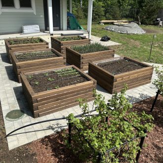 Грядки из бруса лиственницы / Чеховский район // Июнь 2025