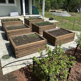 Грядки из бруса лиственницы / Чеховский район // Июнь 2025