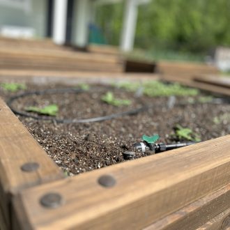 Грядки из бруса лиственницы / Чеховский район // Июнь 2025