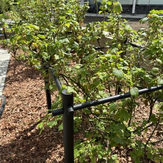 Грядки из бруса лиственницы / Чеховский район // Июнь 2025