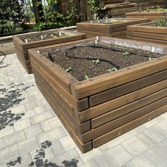 Грядки из бруса лиственницы / Чеховский район // Июнь 2025