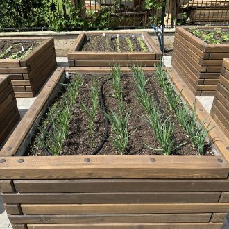 Грядки из бруса лиственницы / Чеховский район // Июнь 2025