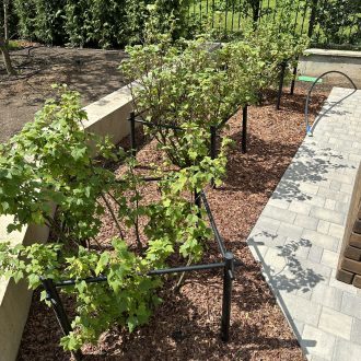 Грядки из бруса лиственницы / Чеховский район // Июнь 2025