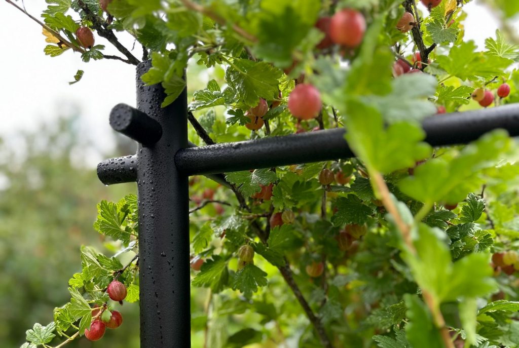 Кустодержатель ЭкоДеко Guard: Честные отзывы и история нашей надежности