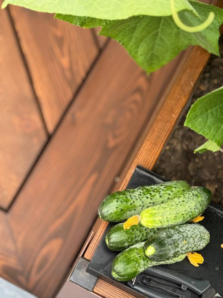 Искусство разумного садоводства: Полный гид по системе ЭкоДеко ПРО / Система 30