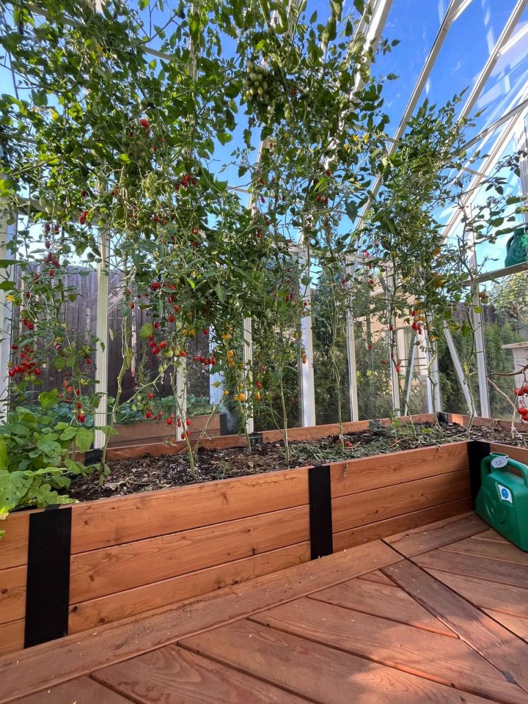 Высокая мода загородной жизни: Манифест стиля и колористики от Ателье Цвета EcoDeco