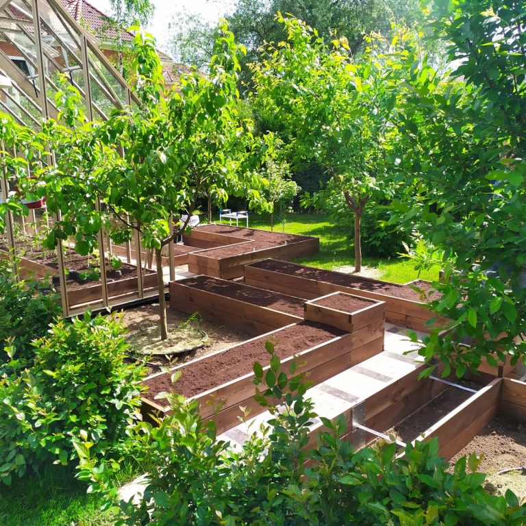 Грядки сезона 2026 - формы, размеры, содержание...