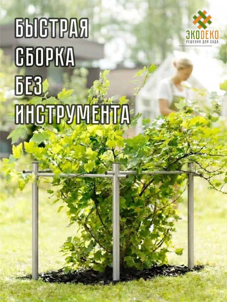 ЭкоДеко Гард 2026: премиальный кустодержатель в новых роскошных цветах !